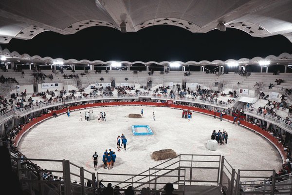 Les meilleurs basketteurs professionnels de tous les temps